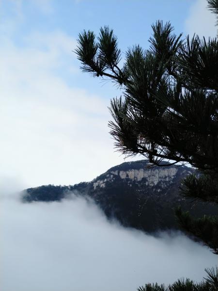 庐山写生2.jpg